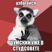  шумский уже в студсовете