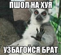 Пшол на хуя узбагойся брат