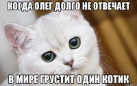когда Олег долго не отвечает в мире грустит один котик