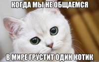 когда мы не общаемся в мире грустит один котик