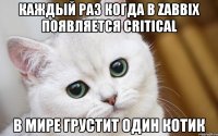 КАЖДЫЙ РАЗ КОГДА В ZABBIX ПОЯВЛЯЕТСЯ CRITICAL В МИРЕ ГРУСТИТ ОДИН КОТИК