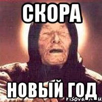 Скора НОВЫЙ ГОД