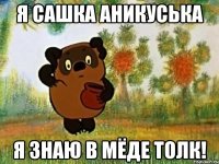 Я Сашка Аникуська Я знаю в мёде толк!