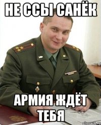 Не ссы Санёк Армия ждёт тебя