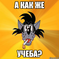 а как же учеба?