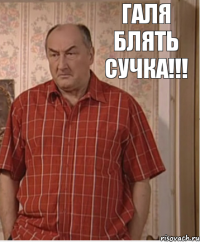 Галя блять сучка!!!