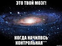 Это твой мозг! Когда начилвсь контрольная***