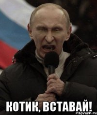  Котик, вставай!