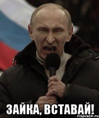  Зайка, вставай!