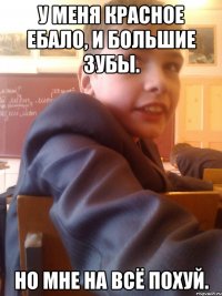 У меня красное ебало, и большие зубы. Но мне на всё похуй.