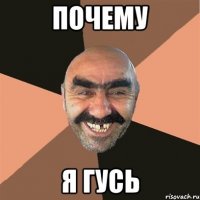 почему я гусь