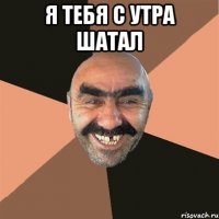 Я тебя с утра шатал 