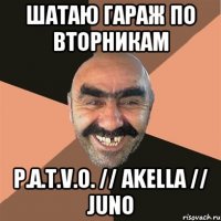 шатаю гараж по вторникам p.a.t.v.o. // akella // juno