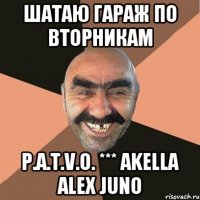 шатаю гараж по вторникам p.a.t.v.o. *** akella alex juno