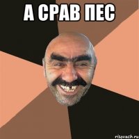 а срав пес 