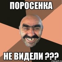 поросенка не видели ???