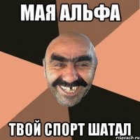 Мая Альфа Твой спорт шатал