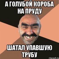 А голубой короба на пруду шатал упавшую трубу