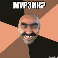 мурзик? 