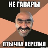 не гавары птычка перепил