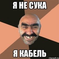 я не сука я кабель