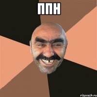 ппн 
