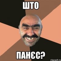 што панєс?