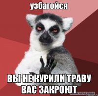  вы не курили траву вас закроют