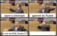 одни в аквапарк другие во Львов а как же БОБ, блеать??! 