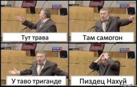 Тут трава Там самогон У таво триганде Пиздец Нахуй