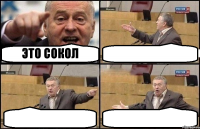 ЭТО СОКОЛ   
