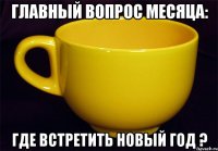 Главный вопрос месяца: где встретить Новый год ?