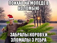 Поихав на мопеде в коломыю забралы корову,и зломалы 3 ребра