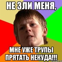 Не зли меня, мне уже трупы прятать некуда!!!