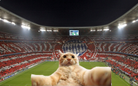 Создать мем cvbcvb