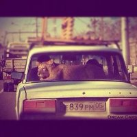 Создать мем ggg