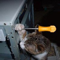 Создать мем ыава