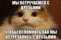 Мы встречаемся с друзьями чтобы вспомнить как мы встречались с друзьями