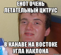 енот очень летательный цитрус в канаве на востоке угла наклона