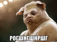  рогшнгшнршг