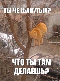 ТЫ ЧЕ ЕБАНУТЫЙ? ЧТО ТЫ ТАМ ДЕЛАЕШЬ?
