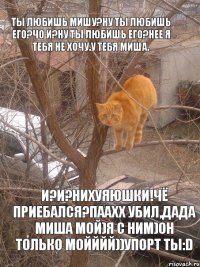 Ты Любишь Мишу?ну ты Любишь его?чо И?ну ты Любишь его?нее я тебя не хочу.у тебя Миша. и?и?Нихуяюшки!чё приебался?паахх убил,Дада Миша Мой)я с ним)он только мойййй))Упорт ты:D