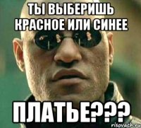 ты выберишь красное или синее платье???