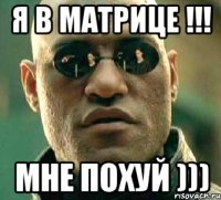 я в матрице !!! мне похуй )))