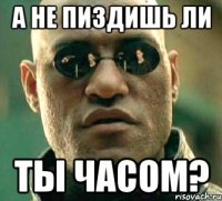 а не пиздишь ли ты часом?