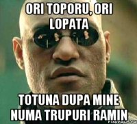 Ori toporu, ori lopata totuna dupa mine numa trupuri ramin