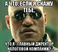 А что, если я скажу тебе, что я - главный директор налоговой компании?