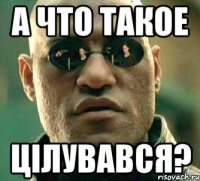 А ЧТО ТАКОЕ ЦІЛУВАВСЯ?