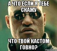 А что если я тебе скажу что твой кастом говно?