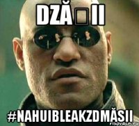 Dzășii #nahuibleakzdmăsii